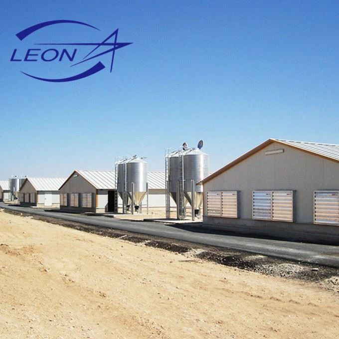 Automatic Layer Poultry Cages Equipment