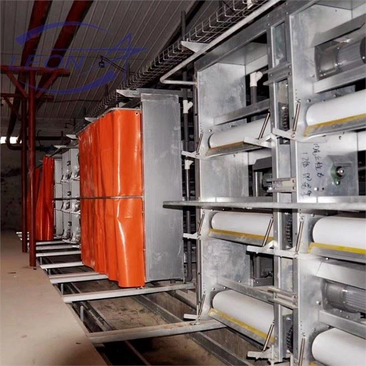 Broiler Cage System Poultry Farming Broiler Cage System Poultry Farming