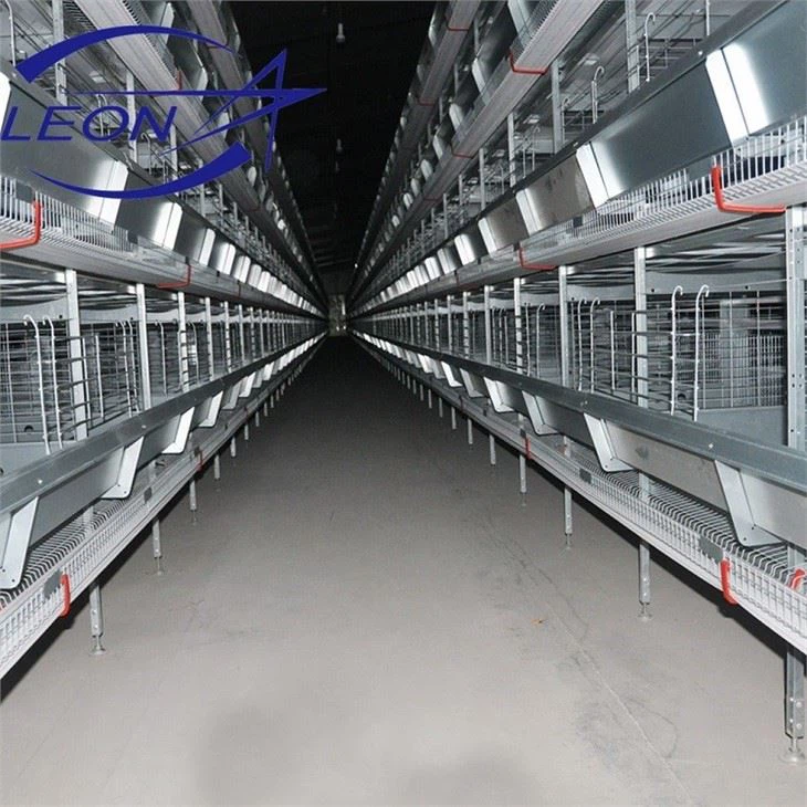 Chicken Layer Cage Used in Poultry Fram Chicken Layer Cage Used in Poultry Fram