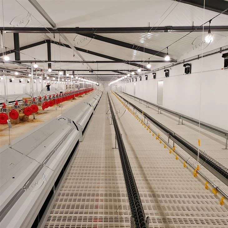 Broiler Parent Stock Chicken Raising System