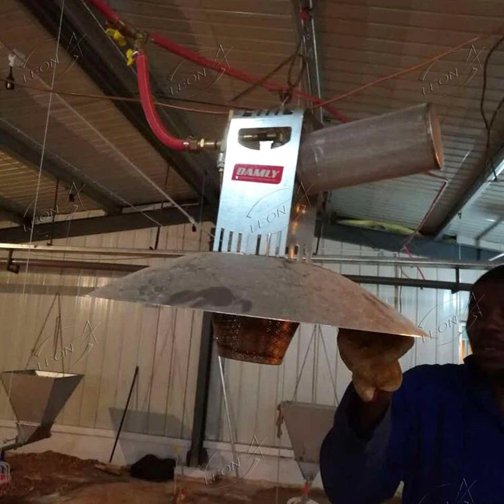 Heating System for Poultry