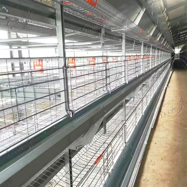 H Type Poultry Cages Equipment