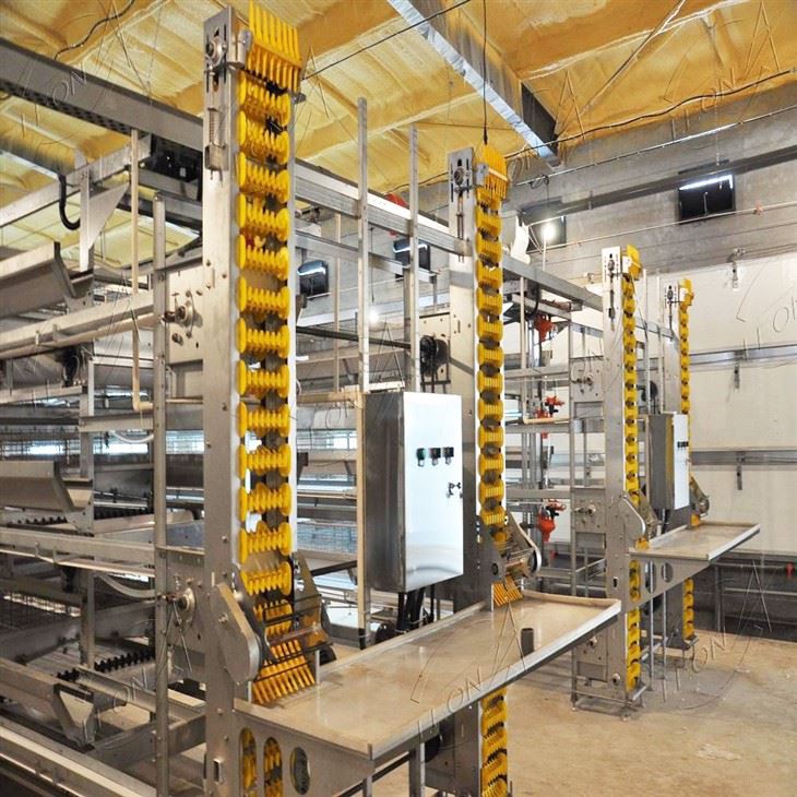 H Type Poultry Cages Equipment